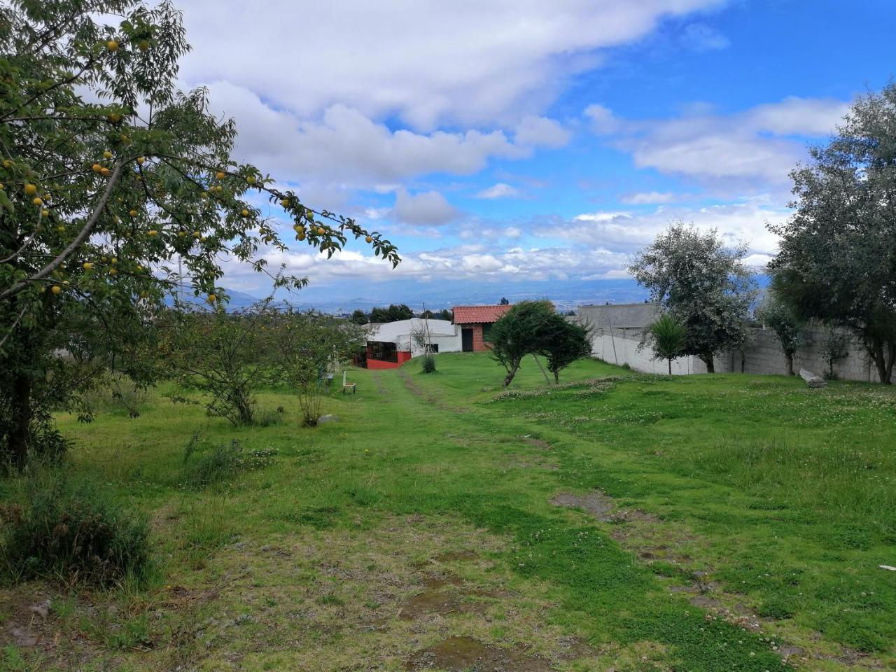 Hosteria El Tisaleno Ambato Eksteriør bilde